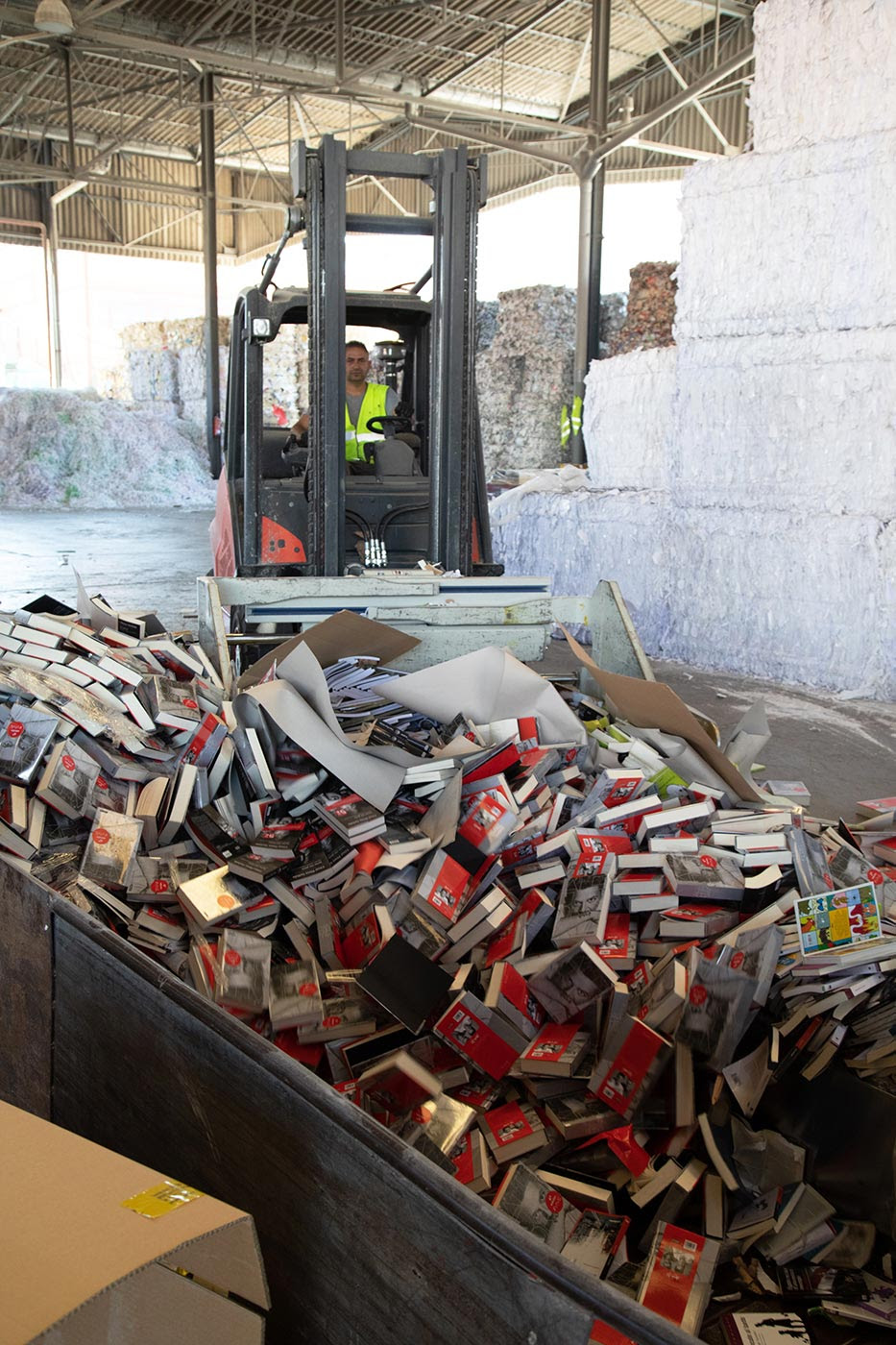 Montón libros triturados